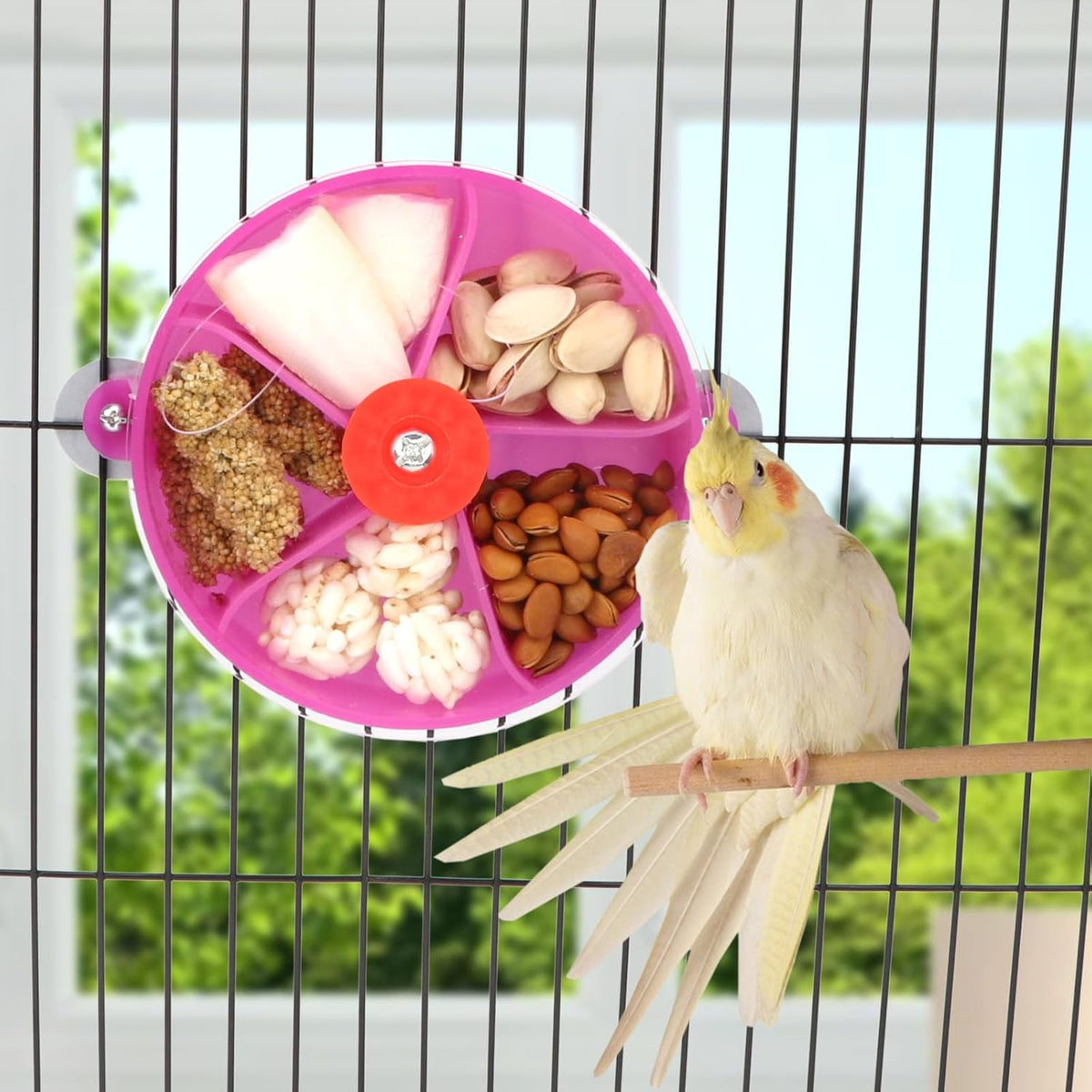 Bird Creative Foraging System Wheel Seed Food Ball Rotate Training Toy for Small and Medium Parrots Parakeet Cockatiel Conure
