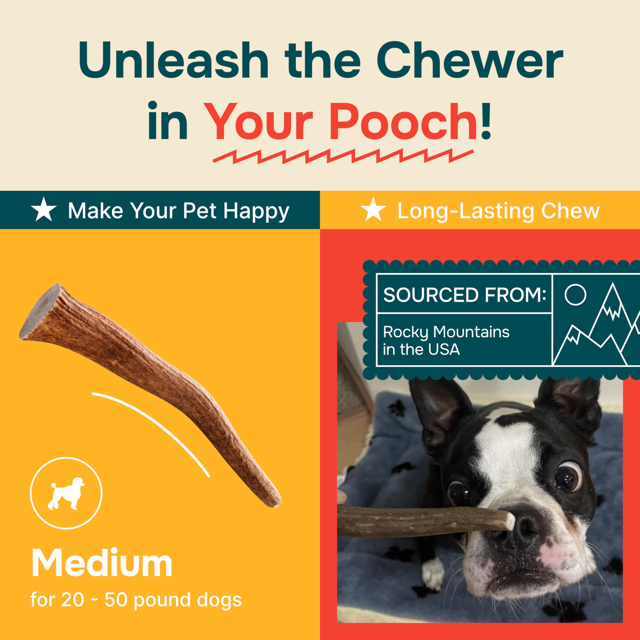 100% Natural - Antlers for Dogs - Naturally Shed in USA - Grade A Long Lasting Chew for Aggressive Chewers - Elk Antlers Dog Antler Chews - Real, Healthy Treats & Toys - No Odor & No Mess - Small