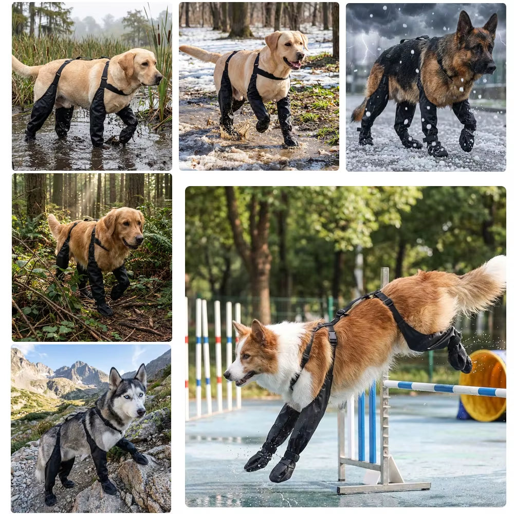 Pawguard Pro Dog Boots – Waterproof, Non-Slip Protection for Every Step